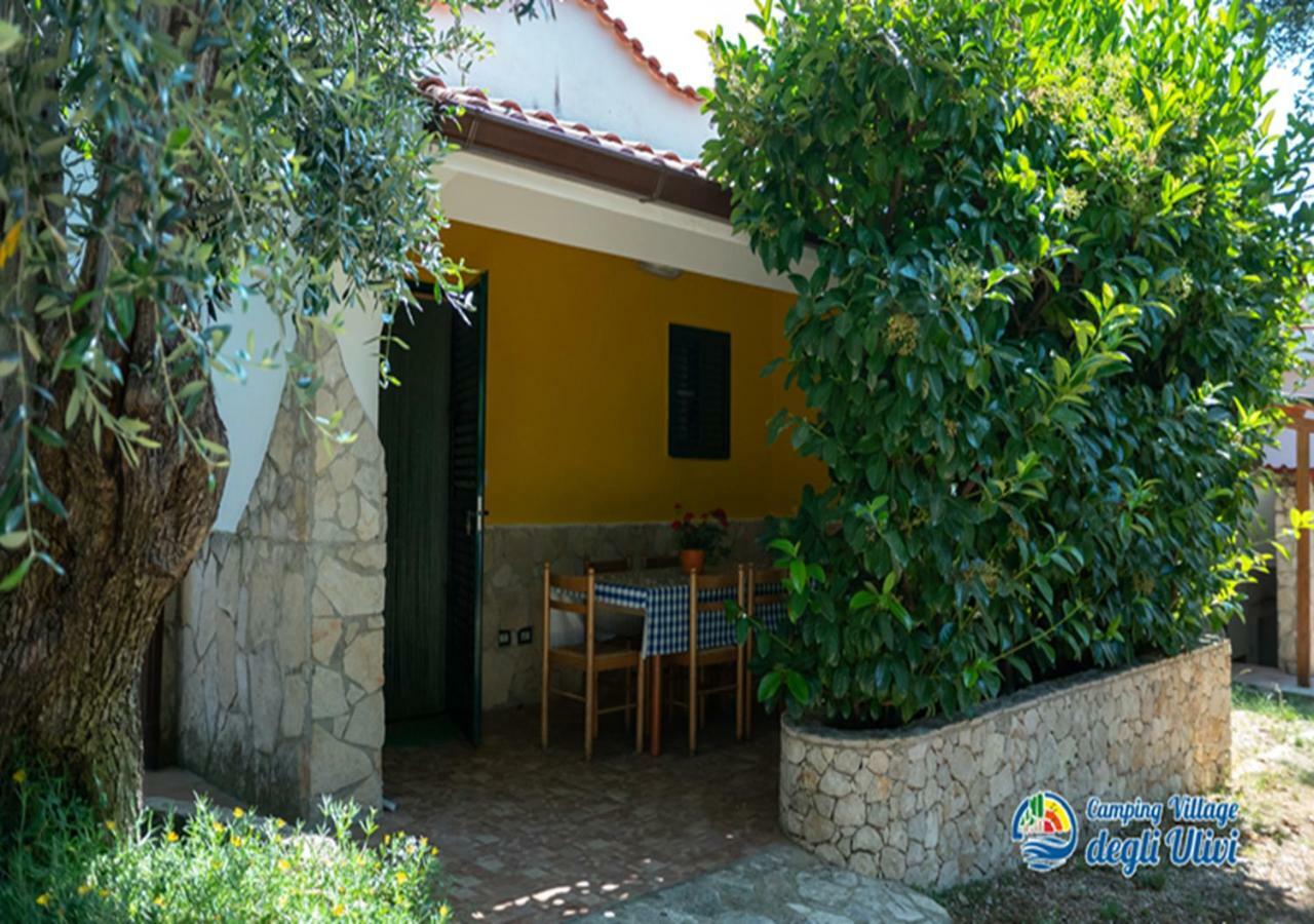 Camping Village Degli Ulivi Mattinata Ngoại thất bức ảnh