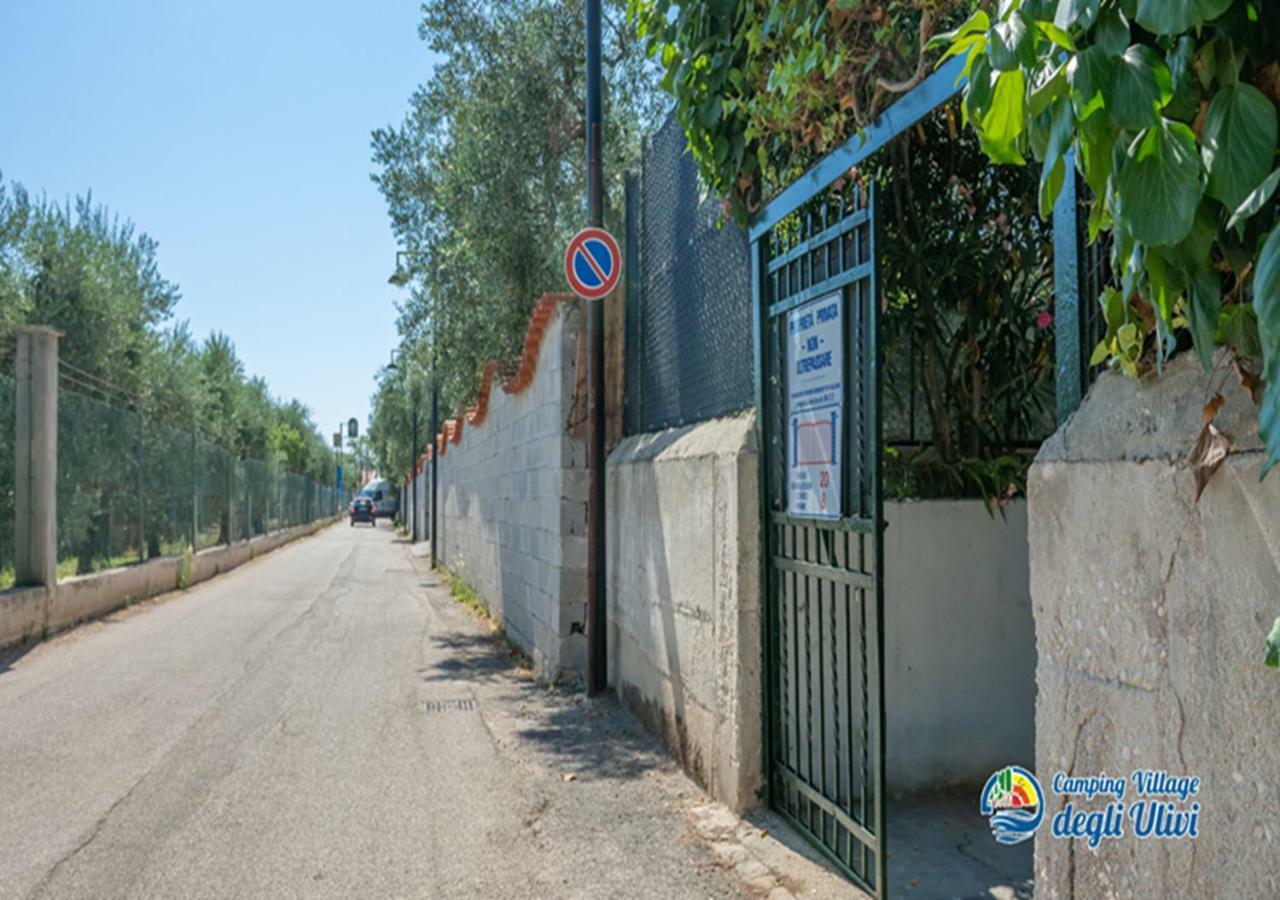 Camping Village Degli Ulivi Mattinata Ngoại thất bức ảnh