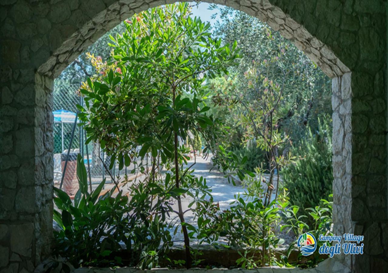 Camping Village Degli Ulivi Mattinata Ngoại thất bức ảnh
