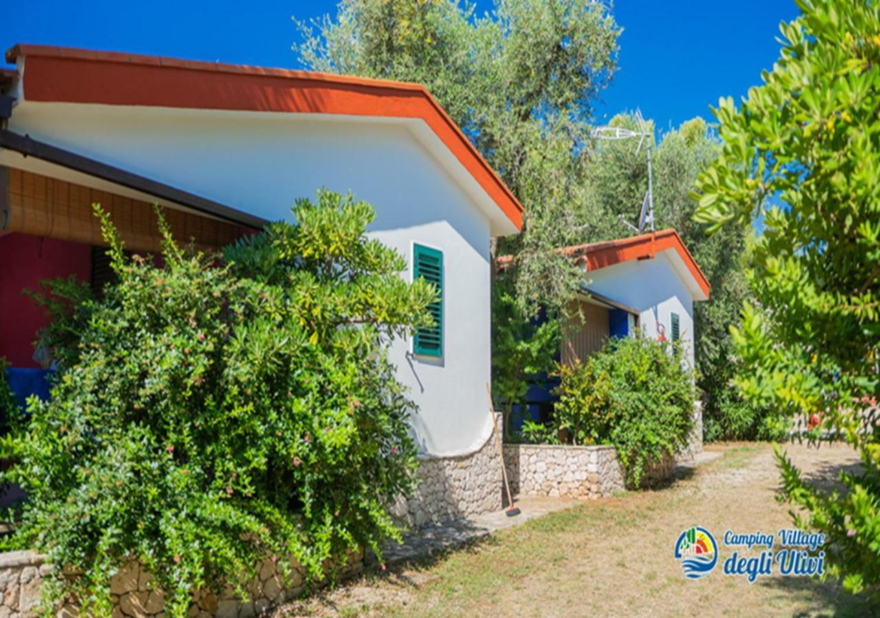 Camping Village Degli Ulivi Mattinata Ngoại thất bức ảnh