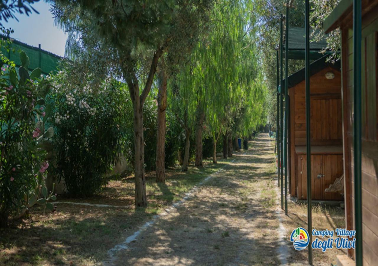 Camping Village Degli Ulivi Mattinata Ngoại thất bức ảnh